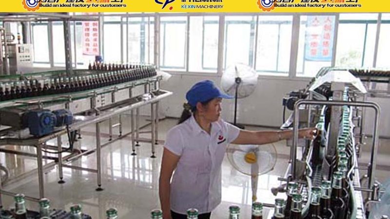 立式食品包装机安装：关键步骤与注意事项**