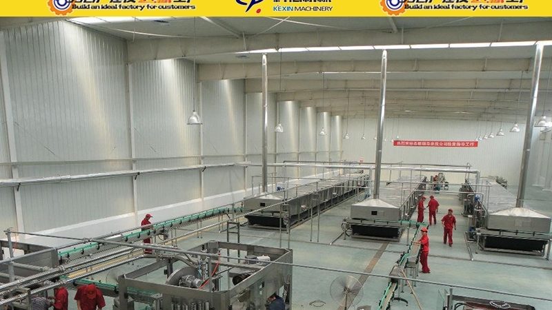 面食机械：规格型号解析与选型逻辑