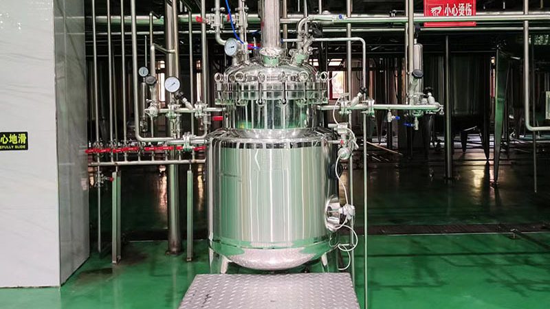 奶酪生产线工艺流程解析：材质与工艺要点